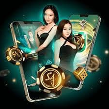 5mb com